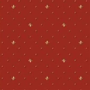 smr dvr hali 57